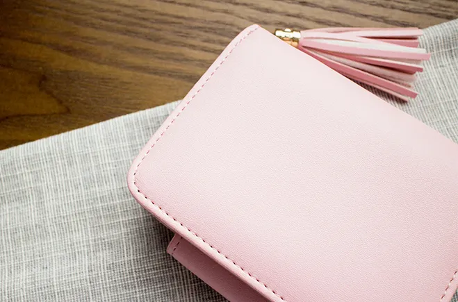 Cat Ears Wallet in 7 colors