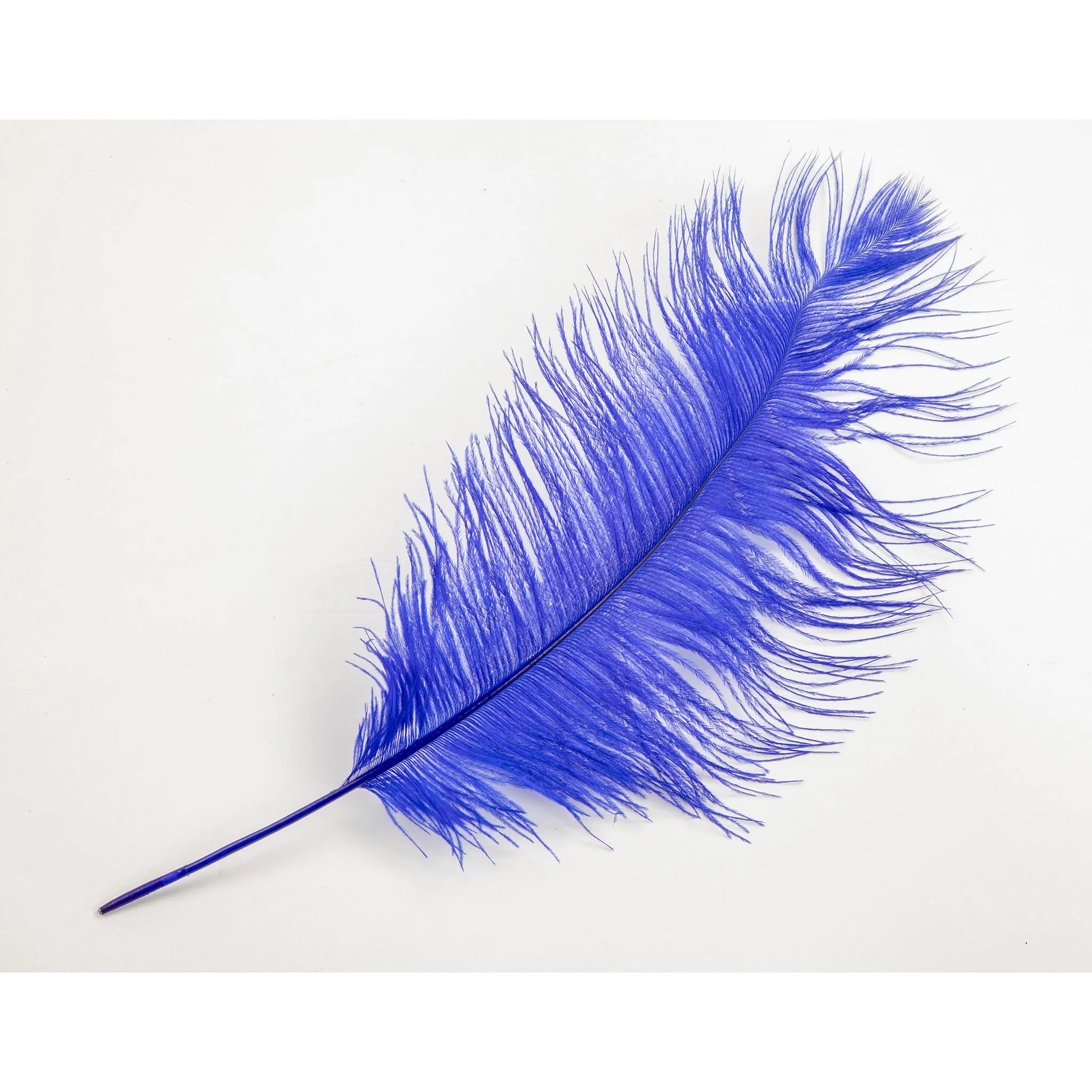 Ostrich Feathers 14"-16" (10 pcs) - Royal Blue