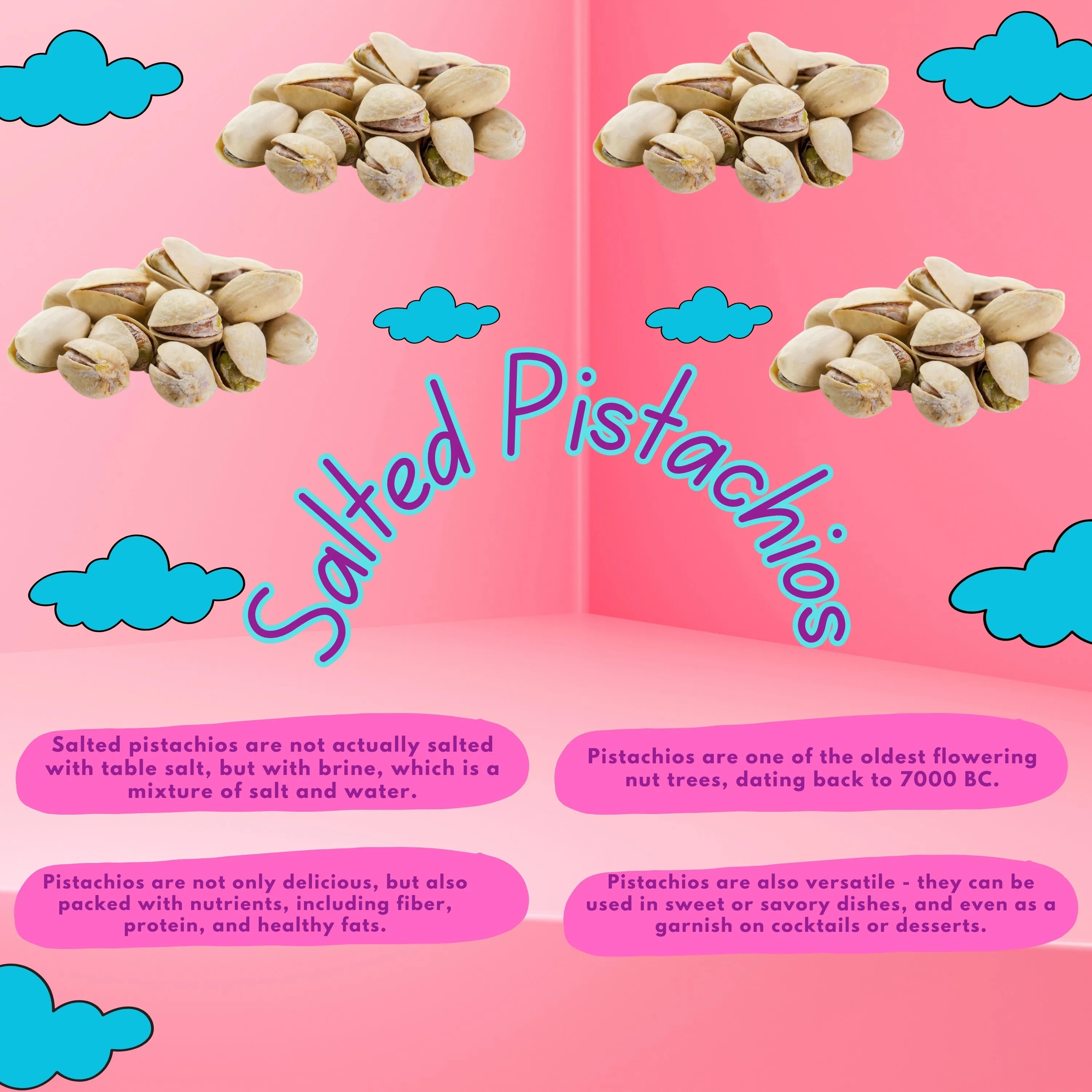 Pistachios Lightly Salted, Premium Pack