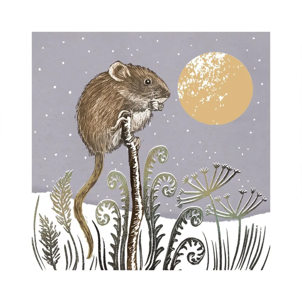 Wildlife Duo Twin Pack